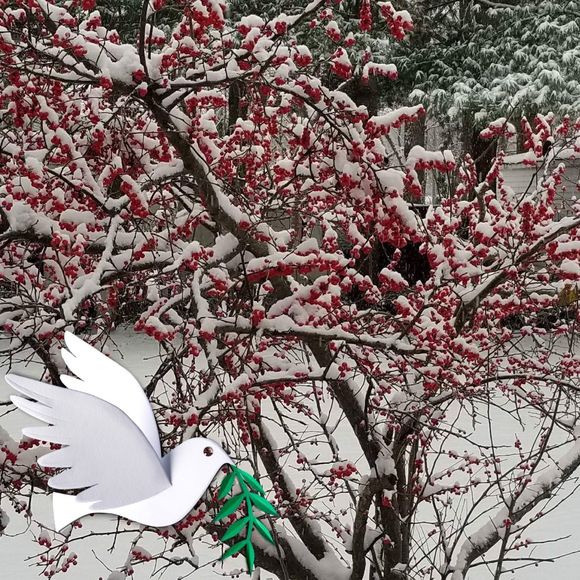 Meet your Posher, William - Picture 1 of 1